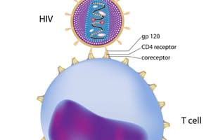 Fungsi Tes CD4 bagi Pasien HIV